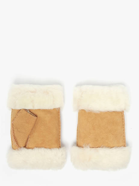 Gants Isotoner Marron women gloves 68663